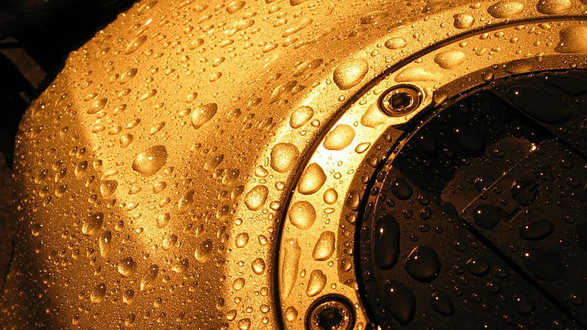 Water, Gold, Drops, Macro, Surface HD wallpaper