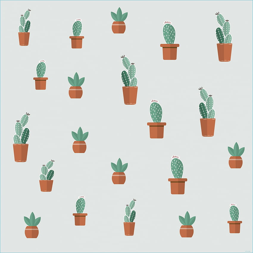 Cacti - Top Cacti Background - Aesthetic Cactus, Cool Cactus HD phone wallpaper