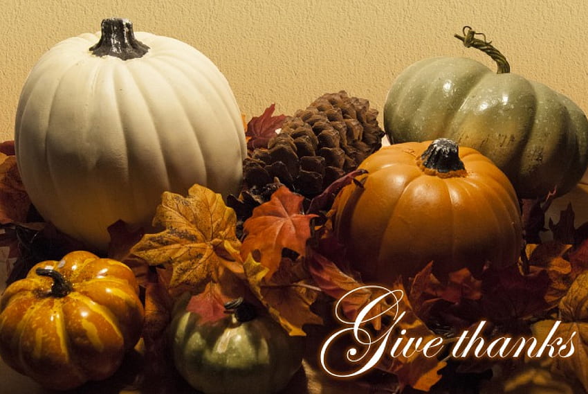 Give thanks, pumpkins, leaves, Fall, pine cone, Autumn HD wallpaper