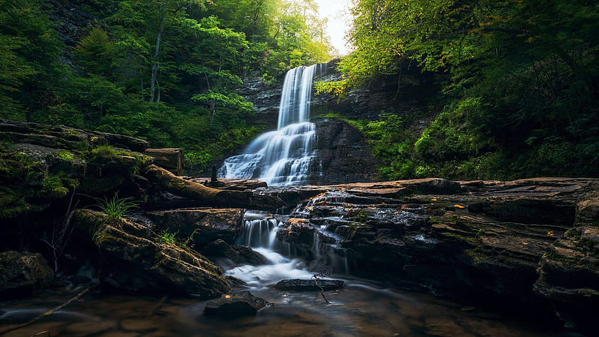 Cascade Falls, Virginia, trees, cascades, river, rocks, usa HD wallpaper