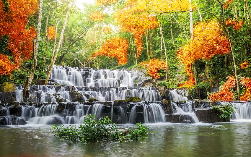 Cascading Waterfall, waterfall, water, forest, cascade HD wallpaper
