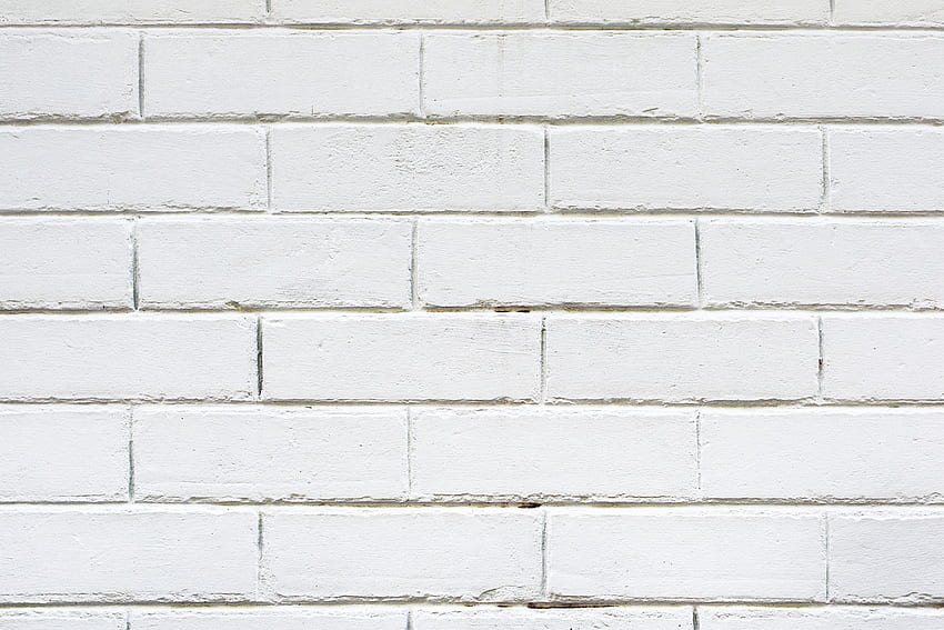 Atractivo muro de ladrillo blanco fondo de pantalla
