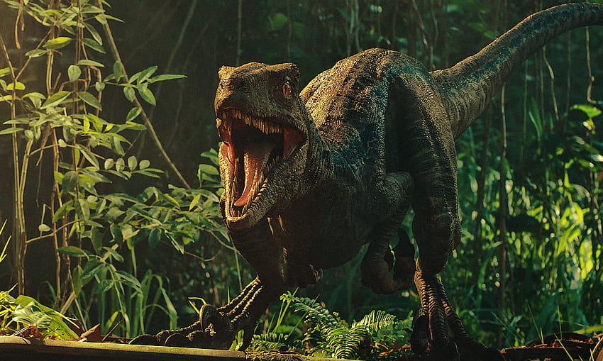 Película, Jurassic World: Fallen Kingdom, dinosaurio fondo de pantalla