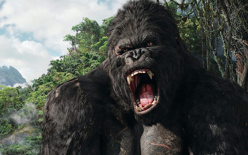 angry silverback gorilla face