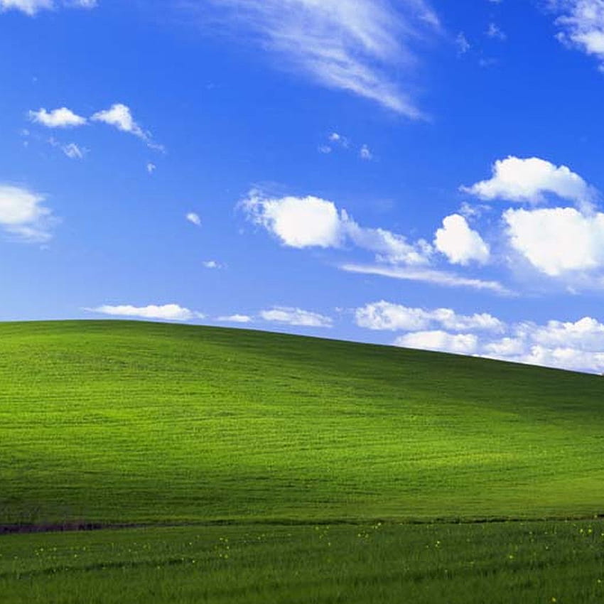 How the rolling hills of 'Bliss' changed background forever - The Verge,  Windows XP Bliss HD phone wallpaper | Pxfuel
