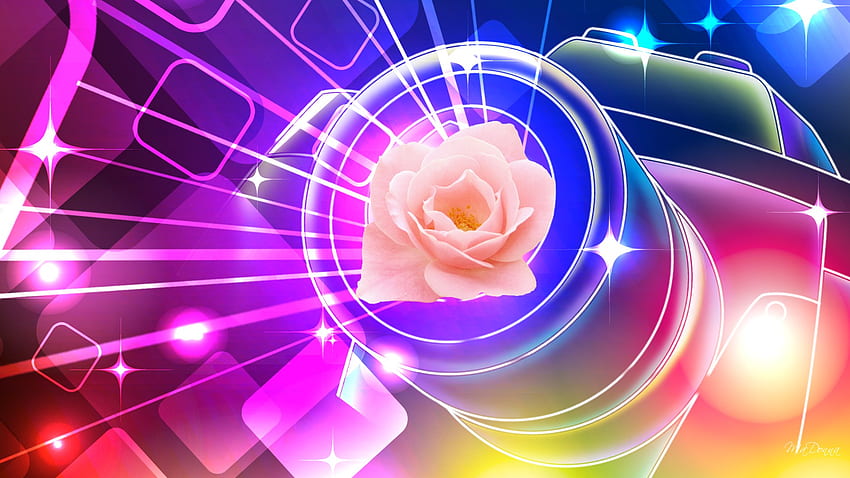 Vibrant Pink Rose, รังสี, โบเก้, สี, เรืองแสง, ดาว, กุหลาบ, ชมพู, นามธรรม, ดอกไม้, สดใส, ไฟ วอลล์เปเปอร์ HD