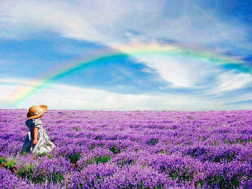 Rainbow Over Lavender Fields, 少女, 虹, 絵画, ラベンダー, フィールド, 自然 高画質の壁紙