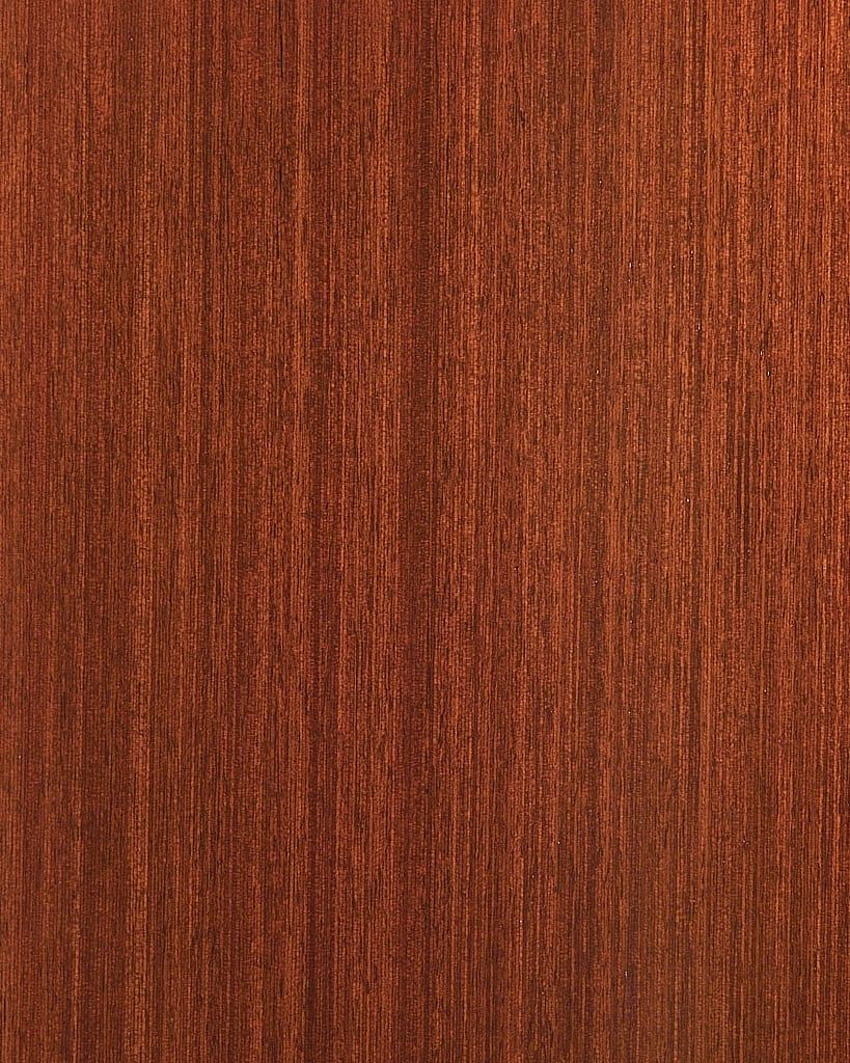 Galeri Tekstur Butir Kayu Mahoni. Kayu mahoni, Tekstur kayu, Penutup panel kayu wallpaper ponsel HD