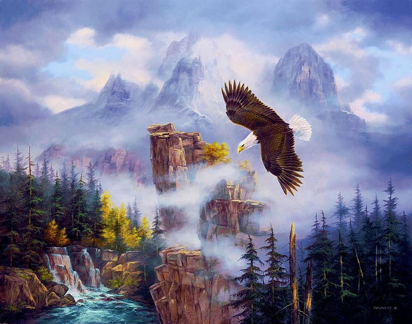bald eagle, natur, birds, mountains, eagle HD wallpaper