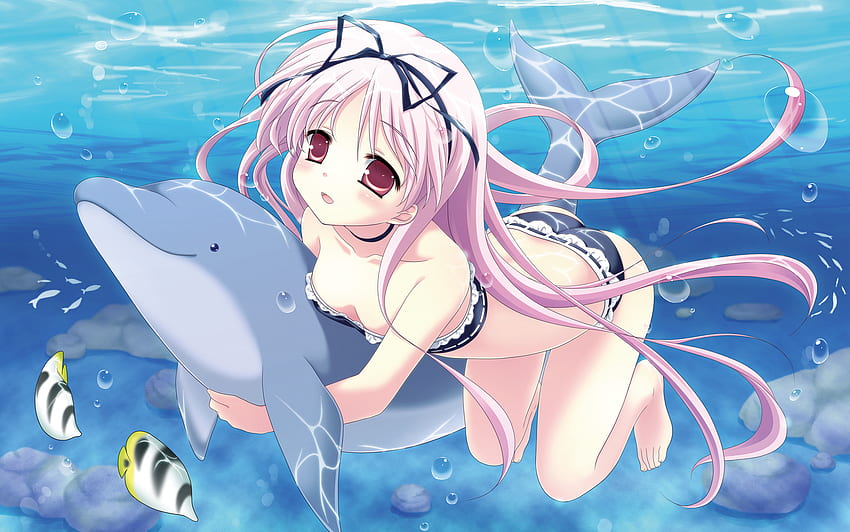Berenang, lumba-lumba, anime, ikan, gadis Wallpaper HD