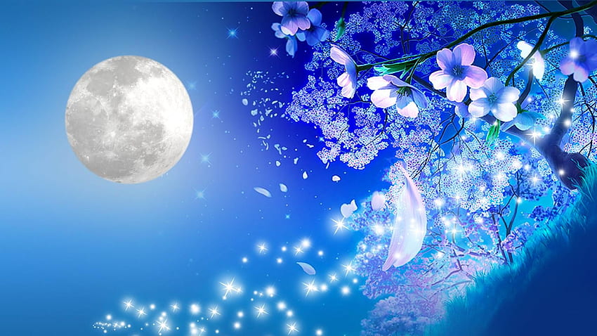 Night Cherry Blossom Background HD wallpaper