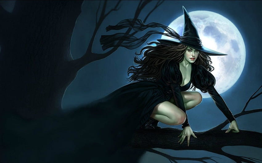 Fantasy witch magic girl girls art artwork . . 656328. UP, Beautiful Witch Cat HD wallpaper
