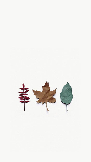 Minimalist Autumn Wallpapers  Top Free Minimalist Autumn Backgrounds   WallpaperAccess