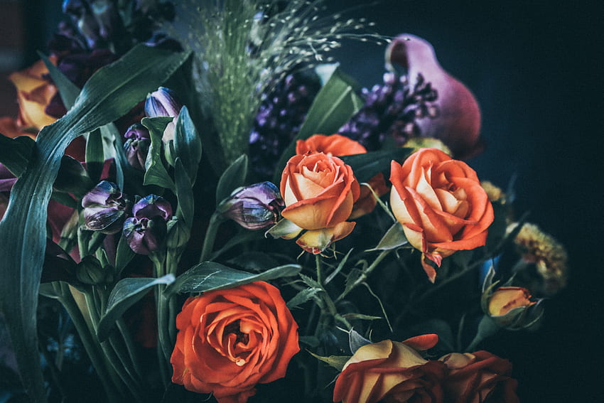 Flowers, Roses, Bouquet, Composition HD wallpaper