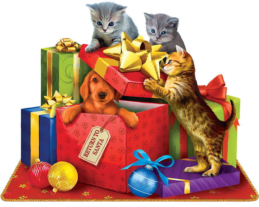 :D, dog, kitten, animal, craciun, cat, gift, pisica, puppy, box, yellow, christmas, red, funny, pet, caine HD wallpaper