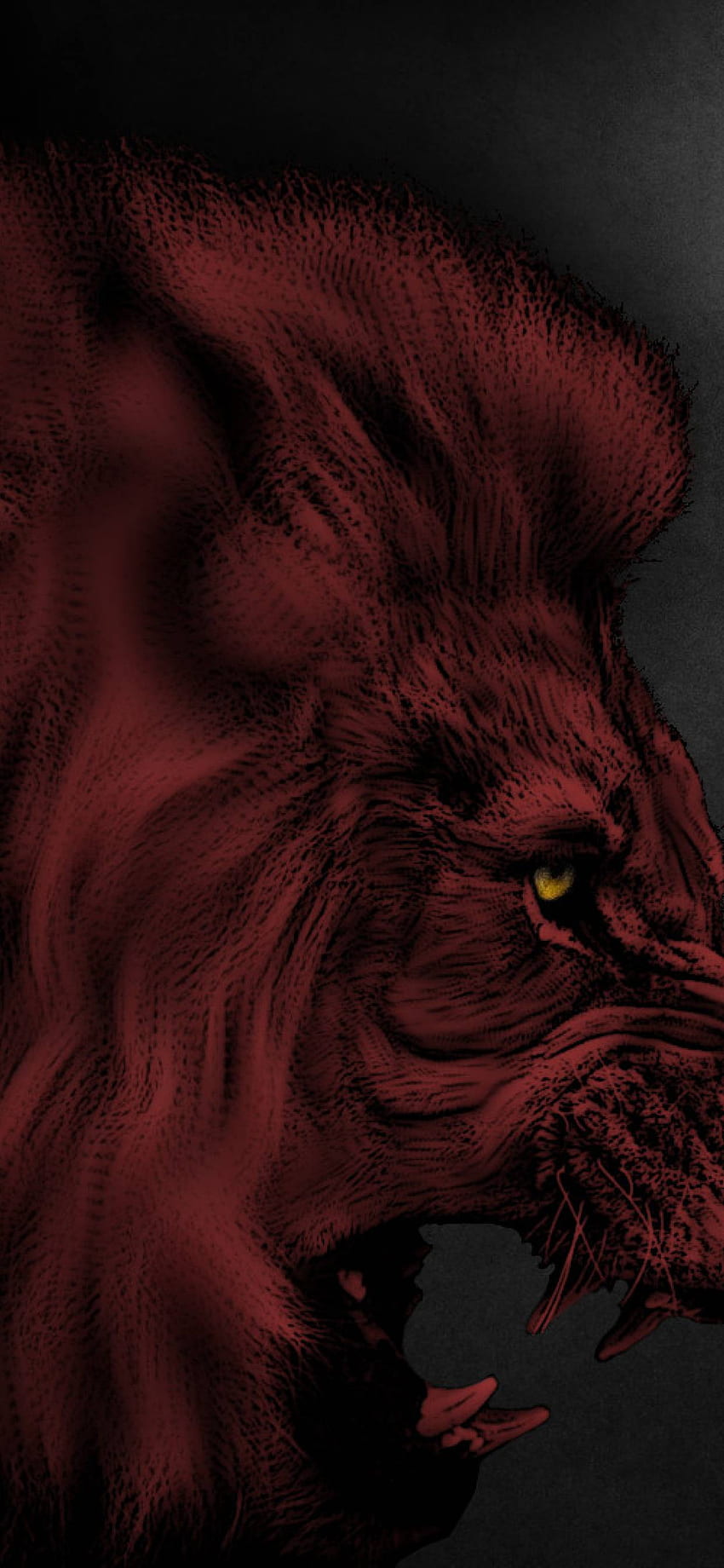 Red Lion iPhone , Artist , , and Background, Wolf and Lion HD phone wallpaper | Pxfuel