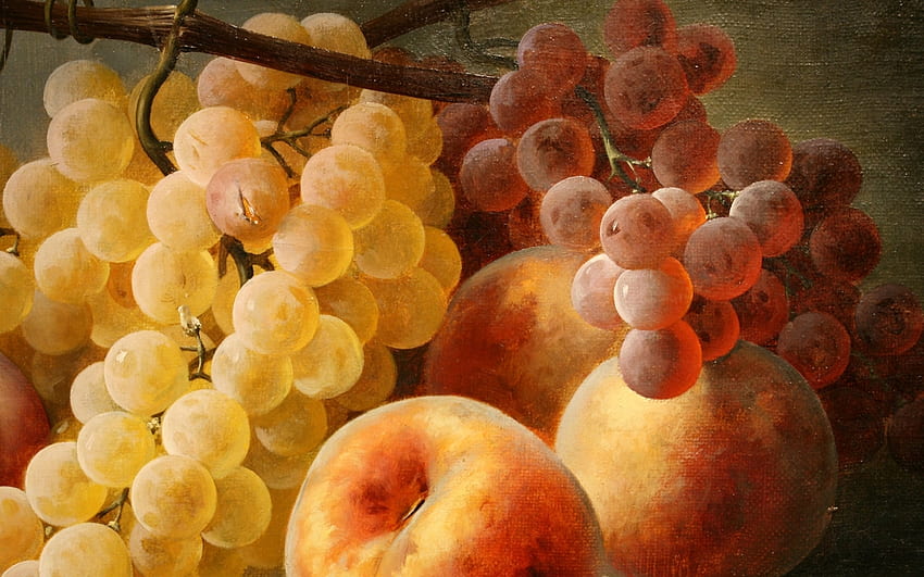 果物、食品、ブドウ、 高画質の壁紙