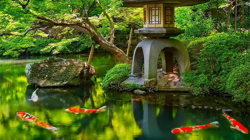 Haut fond de jardin japonais en GOLDWALL de haute qualité, étang japonais Koi Fond d'écran HD