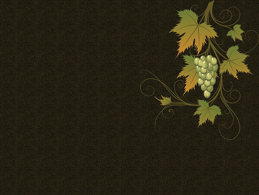 Grape vine vector. Grape vines, Vines, Grapes HD wallpaper