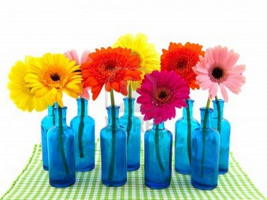 Daisies in blue, blue, colors, glass, flowers, daisies HD wallpaper