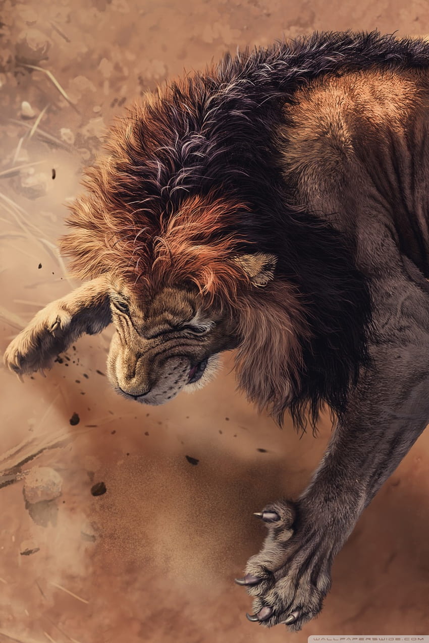 Lion angry face HD wallpapers | Pxfuel