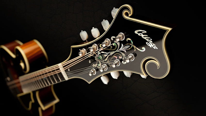 Mandolin . Mandolin , Custom Mandolin and Mandolin Bluegrass HD wallpaper