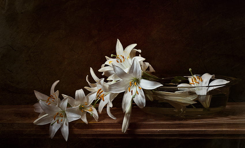 ชีวิตยังคง ช่อดอกไม้ อ่อนโยน กราฟิค ความงาม ดี ดอกลิลลี่ ดอกไม้ น้ำ โต๊ะ ขาว สง่างาม สวย ดอกลิลลี่สีขาว สวย เท่ห์ ดอกไม้ น่ารัก ชาม ความสามัคคี วอลล์เปเปอร์ HD