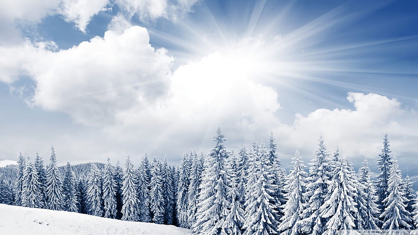 16 - Dual Screen Winter - & Background, Snow Dual Monitor HD wallpaper