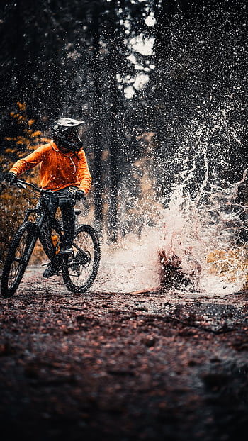 900+ Free Mountain Biking & Mountain Bike Images - Pixabay