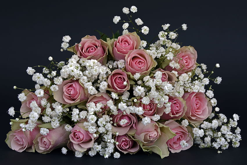 Flores, Rosas, Registro, Tipografia, Bouquet papel de parede HD
