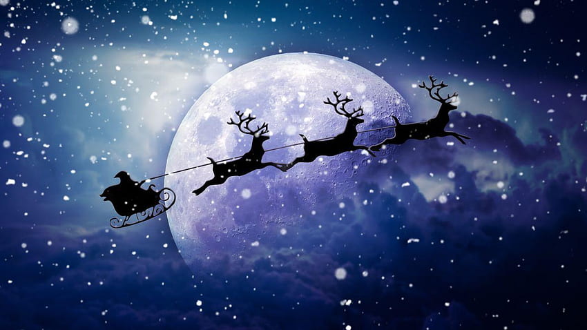 Santa Sleigh And Reindeers In Sky, Arctic Reindeer HD wallpaper