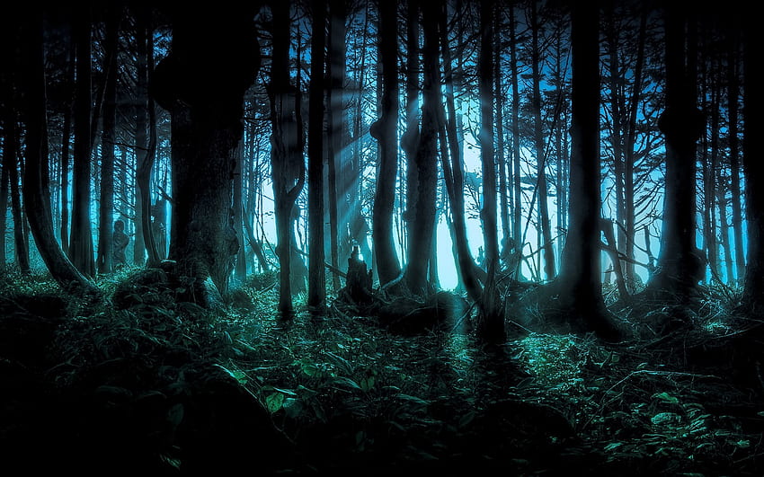 Spooky Forest — Backlit HD wallpaper