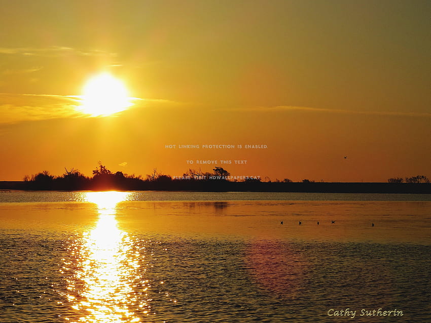 a golden sunset on the bay clouds marsh sky HD wallpaper