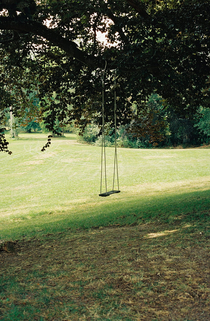 Swing, Grass, , , Wood, Tree, Greens, Lawn HD phone wallpaper