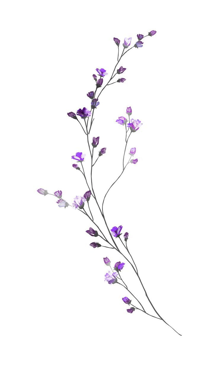 H927 (97). Sztuka kwiatowa, rysunek kwiatowy, tatuaże Body art, rysunek pojedynczego kwiatu Tapeta na telefon HD
