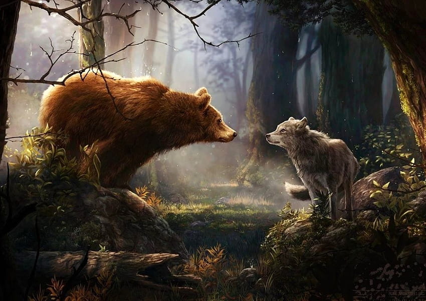 「友達になろう」……クマ、野生、オオカミ、動物 高画質の壁紙