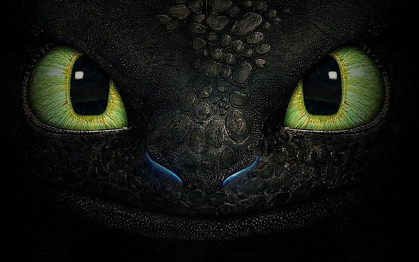Toothless The Dragon, 10K HD wallpaper