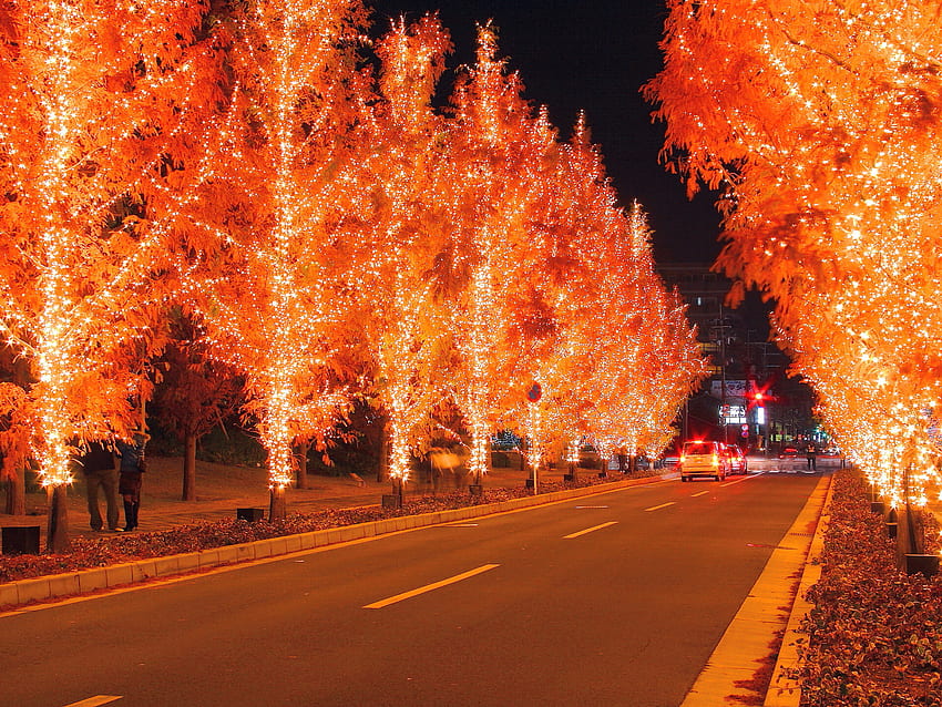Feurige Bäume, Nacht, Grafik, Lichter, Weihnachten, Rot, Straße, Dekorationen, cool, erstaunlich, neues Jahr HD-Hintergrundbild