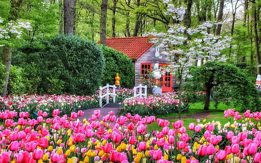 spring coming, springtime, flowers, spring, house HD wallpaper