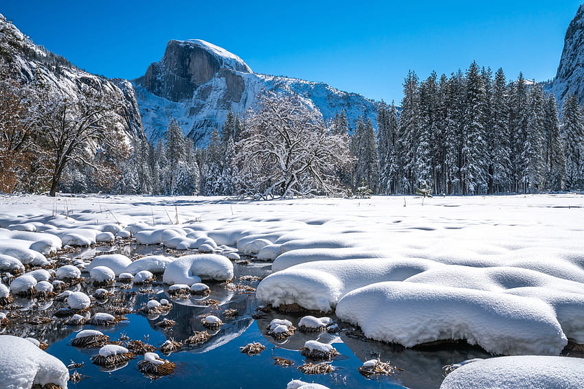 Nacional de Yosemite. Parque, California, nieve, árboles, naturaleza, montañas, Estados Unidos fondo de pantalla
