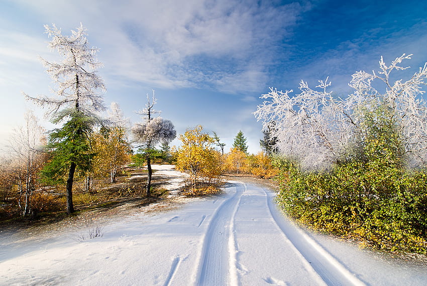 inverno, scenario, bianco, paesaggio, strada, natura Sfondo HD