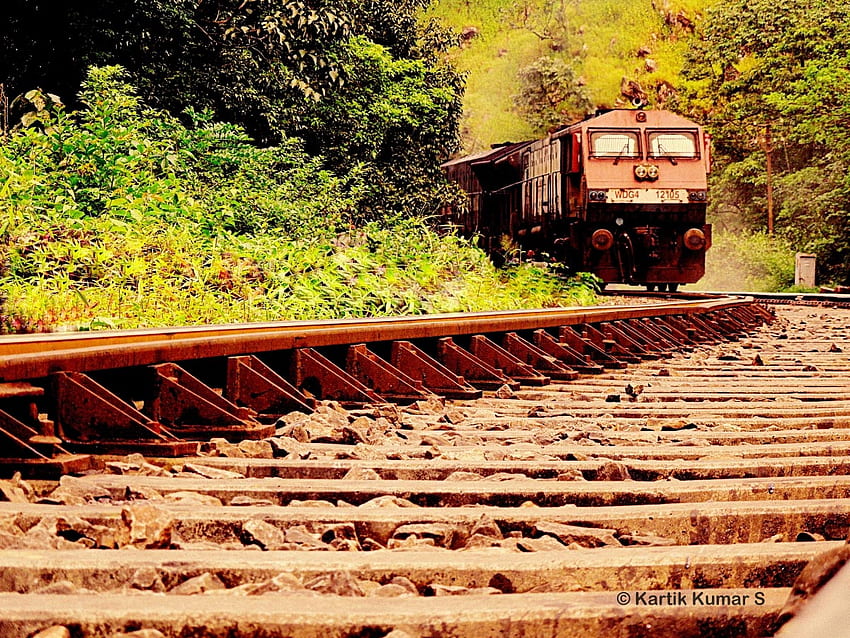Autumn Forest Railroad Landscape Scenery 4K Wallpaper #6.976