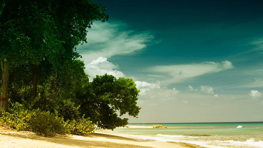 バルバドス ビーチ、海、砂、風景、雲、木、水 高画質の壁紙
