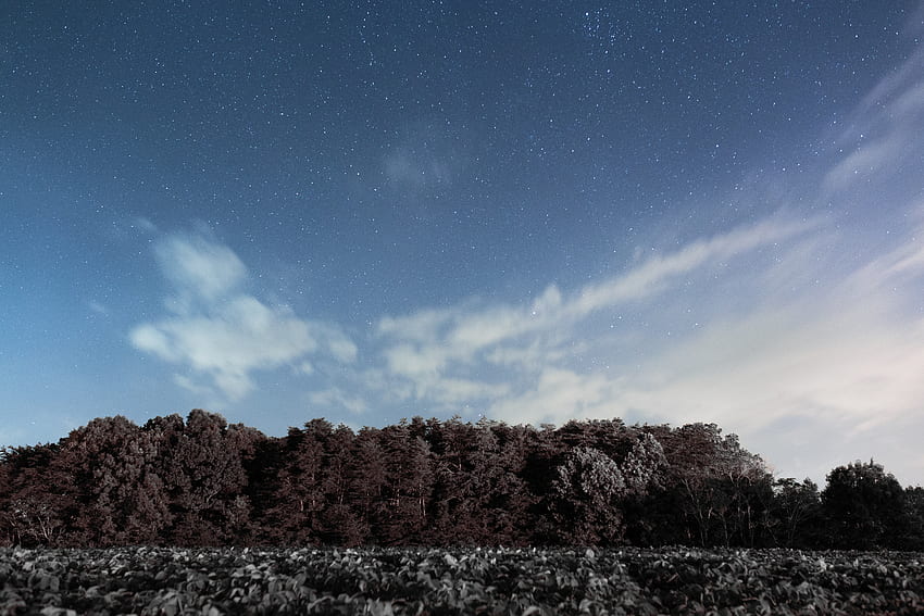 Wallpaper on X: 4k #wallpaper for your #Pc #Nature #Tree #House #Sky  #Cloud #Stars  / X