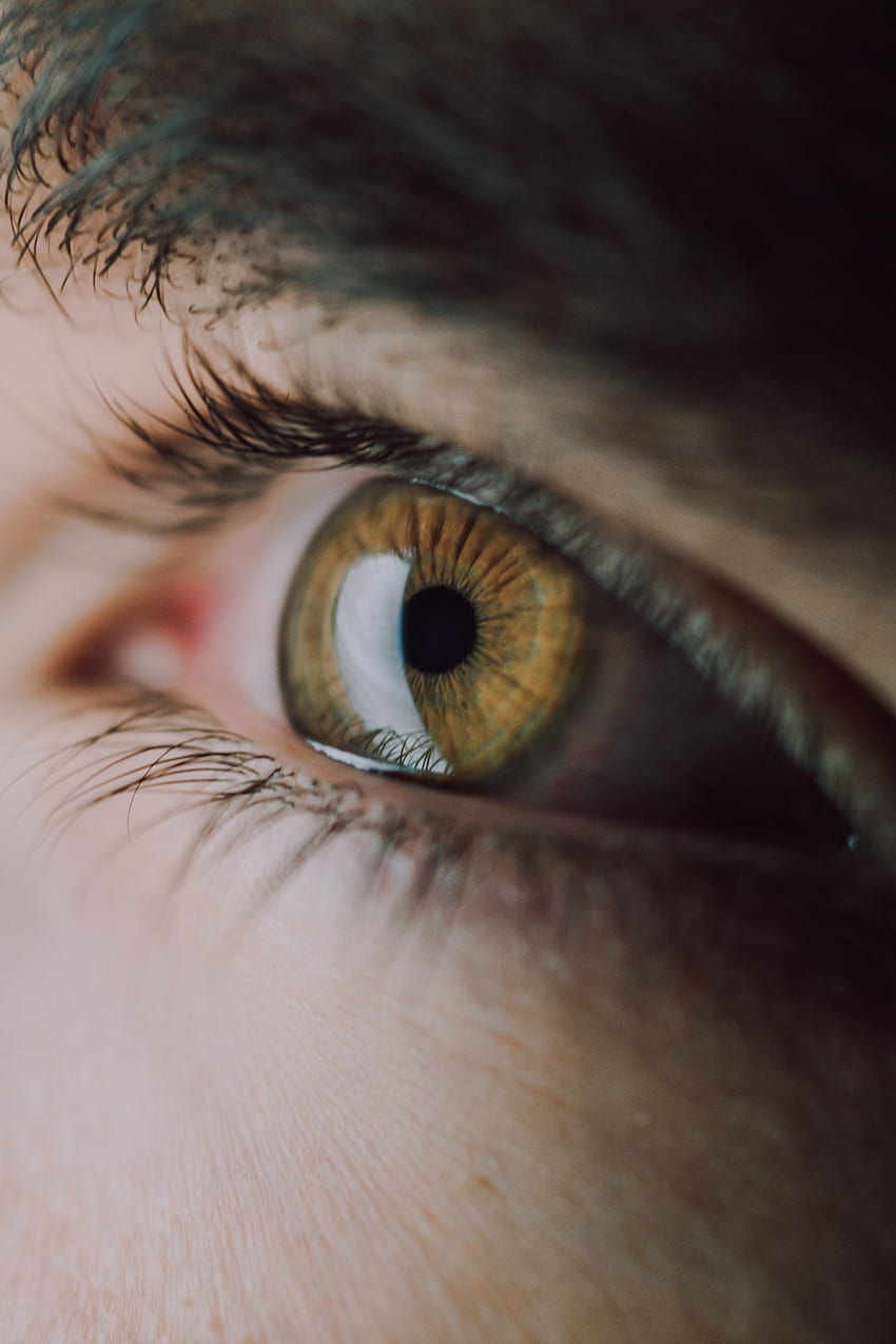 Makro, Auge, Pupille, Wimpern, Wimpern HD-Handy-Hintergrundbild
