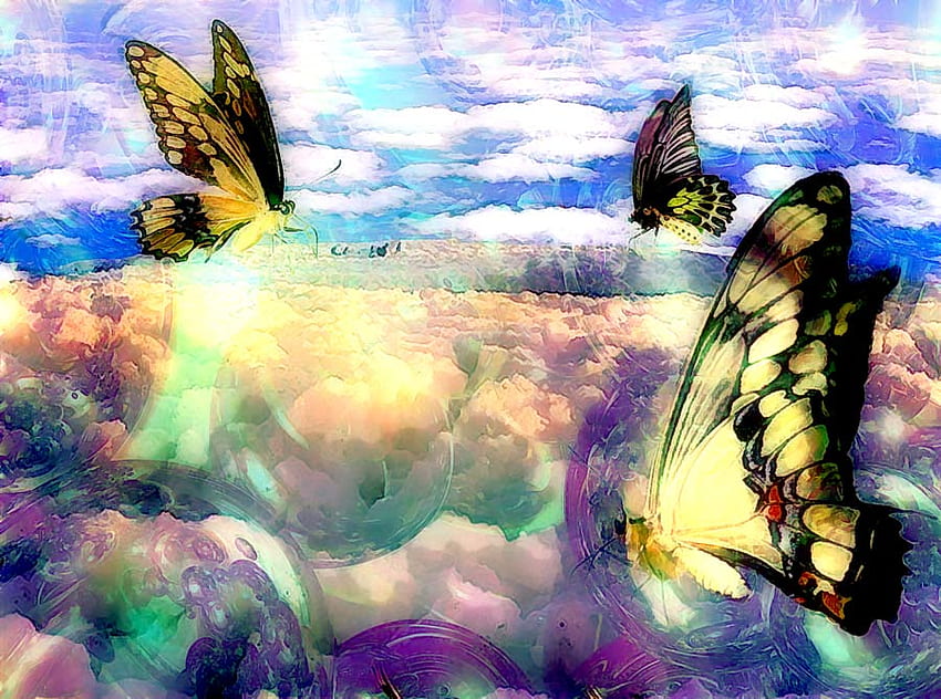Altavista, butterflies, sky, fly HD wallpaper