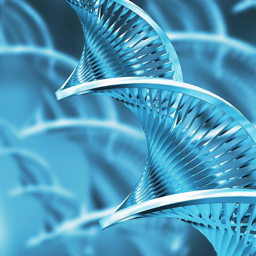 Blue 3D DNA Helix : Biological Science Directory HD phone wallpaper | Pxfuel