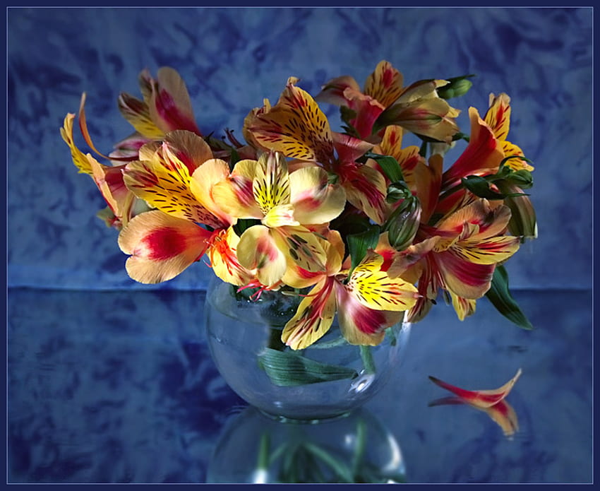 martwa natura, sztuka, szklany wazon, pełne kolory kwiaty, piękne Tapeta HD