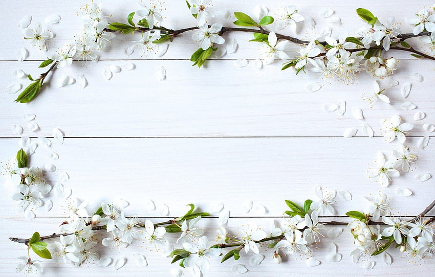 flores, fundo, primavera, maçã, madeira, flor, quadro de flores papel de parede HD