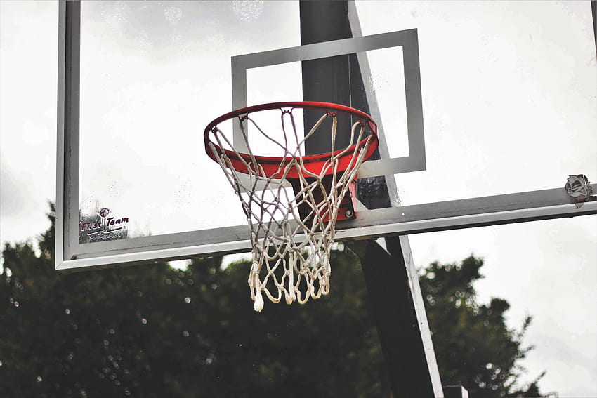 Deportes, baloncesto, cuadrícula, tablero de baloncesto, escudo de baloncesto fondo de pantalla